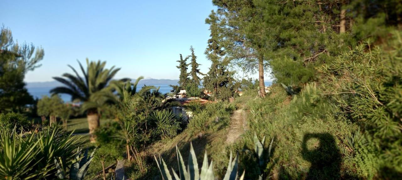 Seaside View Villa Hanioti Exterior photo